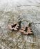 Boucles d’oreilles sapin marron