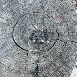 Collier Davis repositionnable – Image 10