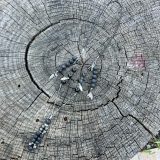 Collier Davis repositionnable – Image 11